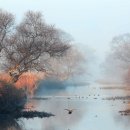 화포천농촌체험마을 이미지