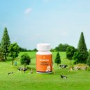 에브리데이 이미지