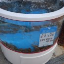 보성아라낙지 이미지