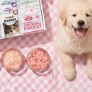 판타펫코리아 이미지