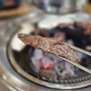 두리숯불