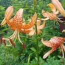 천을농장 이미지