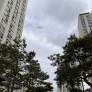 서창2동-13 이미지