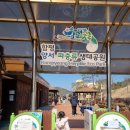 나비생태공원 | 함평 아이와 가볼만한곳 자연생태공원 방문 후기(w.반달가슴곰)