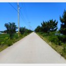 남천제방길 이미지