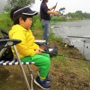 승민애견 이미지