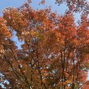 하늘공원(하부) 이미지