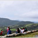 삼양농장 이미지