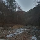 구마일주통나무산장 이미지