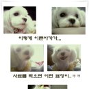 분득 이미지