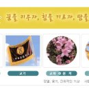 안양부흥초등학교 이미지