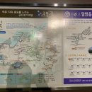 은파약국 네이버블로그