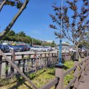 경천 체육공원 이미지