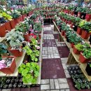 선은농장(1) 이미지