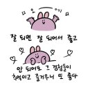 날개 이미지