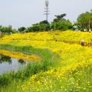 악양생태공원 이미지