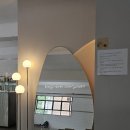 세컨브레스 | 양재천 카페거리 반려동물 동반 가능 카페 <세컨브레스> 방문 후기