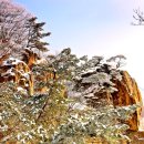 공상식 Daum카페