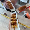 금왕빌리지 | 영월여행 동강래프팅 (젊은달y파크, 한반도지형)