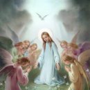 나자리오 이미지