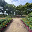 미추홀공원(다례원 내) 이미지