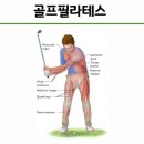 아다지오필라테스 - 용인시 수지구 손곡로 95 | 아다지오필라테스