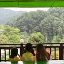 동두천 벨라 캠핑장 서울 근교 아이들 놀기 좋은 수영장 있는곳