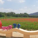 (주)청송관광 이미지