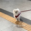 이플러스할인마트 이미지