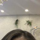 밀카헤어