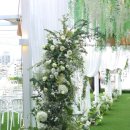 플레르바인 이미지