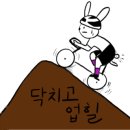 바이크올라이드 이미지