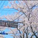 쇠평어린이공원 놀이터 이미지