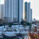 죽백근린공원1 이미지