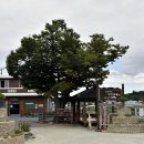 소도마을경로당 이미지