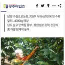 월드팜