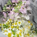꽃못 | [스냅준비] 남대문꽃시장 첫방문 및 셀프 들꽃부케 만들어 본 후기(feat. 부케는 전문가에게...)