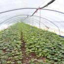 양촌면 햇빛촌바랑산마을 | 논산여행 햇빛촌 바랑산 마을