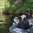 도새울마을 이미지