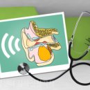 이엔티보청기 이미지