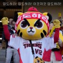 [KBO] 사람들 경악하게 만든 기아 타이거즈 마스코트 호걸이 내장의 고백 이미지