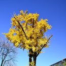 마로니에공원 화장실 이미지