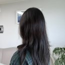 아리헤어본