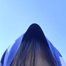 2026 뷰티풀민트라이프 뷰민라 후기 Beautiful Mint Life 260530