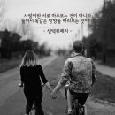 클로이교육 이미지