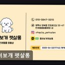 들려보개 펫살롱 네이버블로그