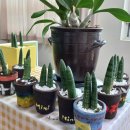 동수영중학교 이미지