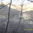 고례마을 이미지