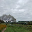 삼우촌식육식당 이미지