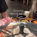 한양고깃집세종